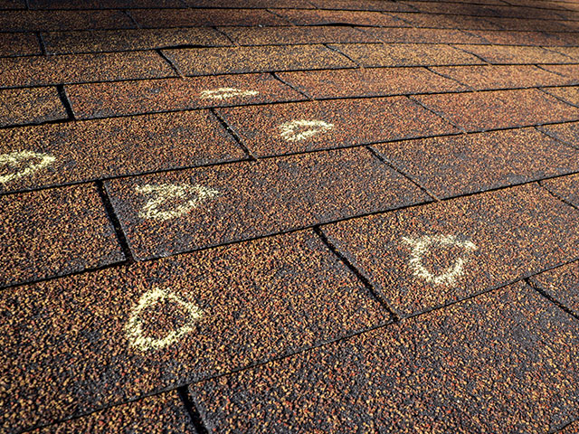 Professional inspections